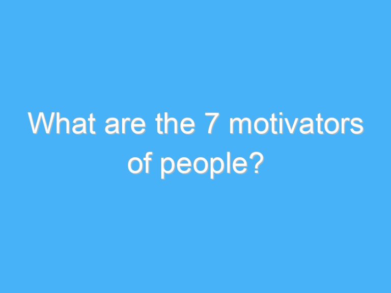What are the 7 motivators of people?