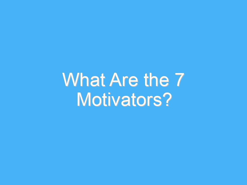 what are the 7 motivators 540