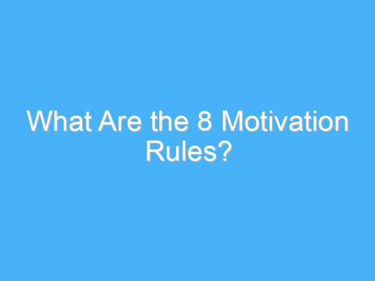 What Are the 8 Motivation Rules?