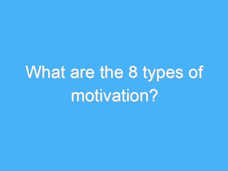 What are the 8 types of motivation?