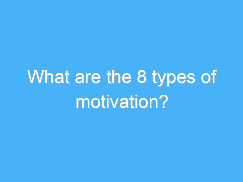 what are the 8 types of motivation 448