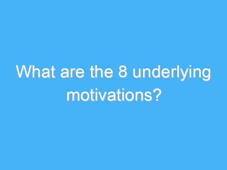 What are the 8 underlying motivations?