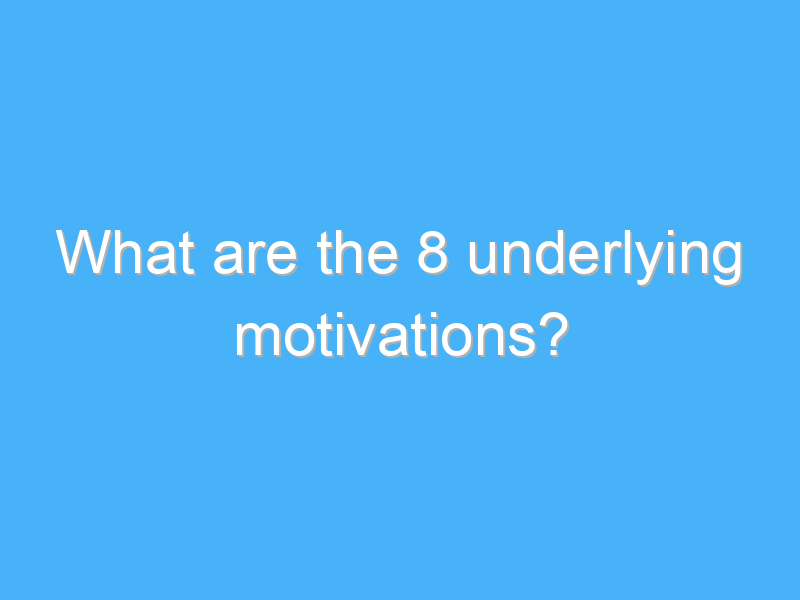 what are the 8 underlying motivations 254
