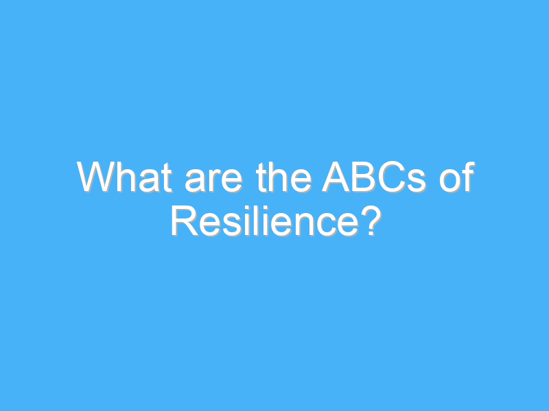 what are the abcs of resilience 467