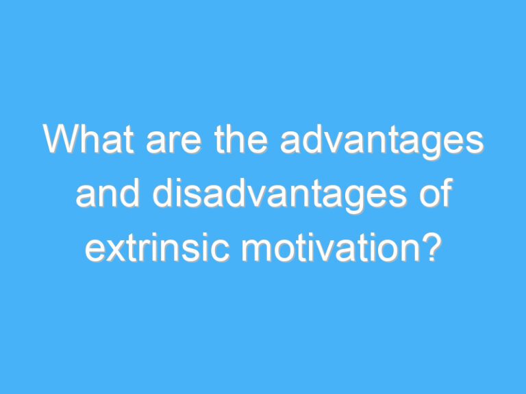 What are the advantages and disadvantages of extrinsic motivation?