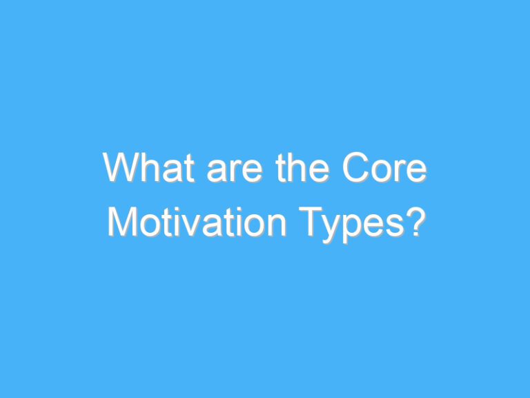What are the Core Motivation Types?