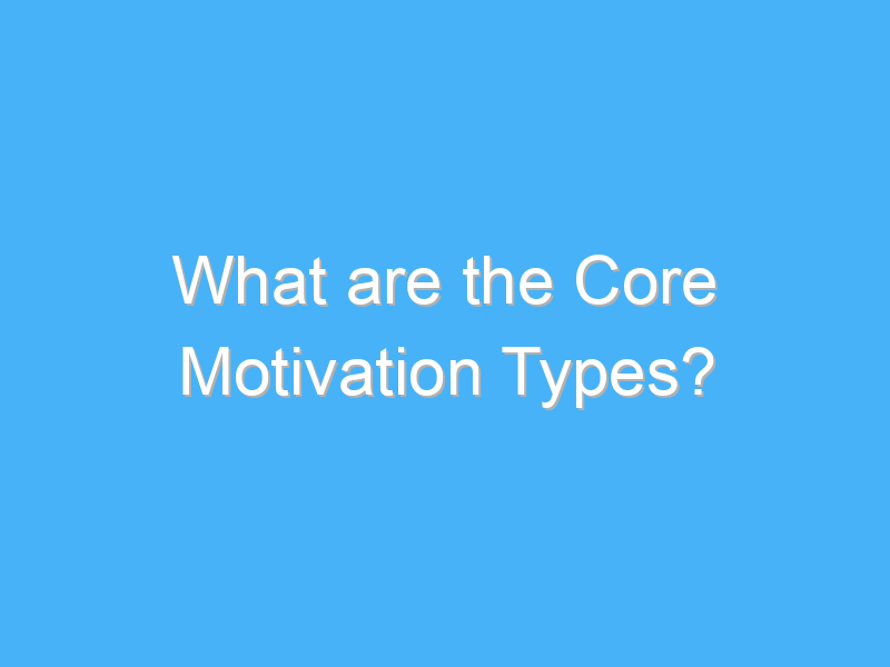 what are the core motivation types 329