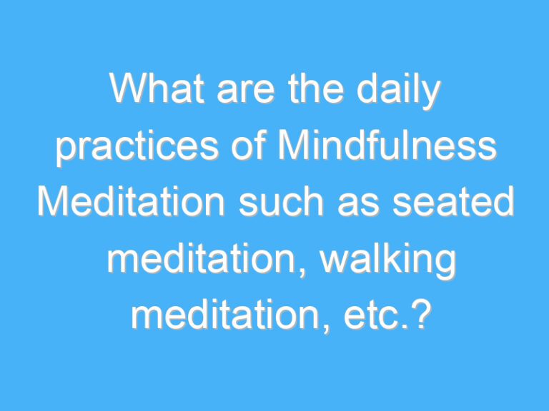 What are the daily practices of Mindfulness Meditation such as seated meditation, walking meditation, etc.?