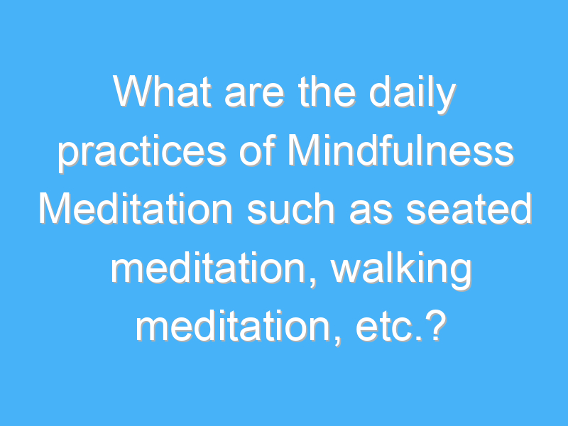 what are the daily practices of mindfulness meditation such as seated meditation walking meditation etc 2288