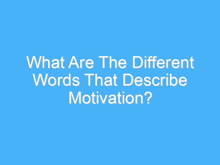 What Are The Different Words That Describe Motivation?