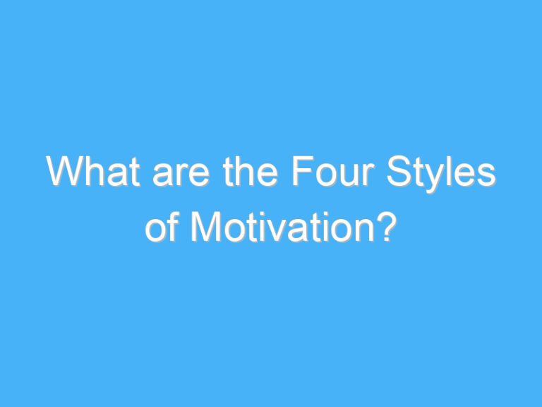What are the Four Styles of Motivation?