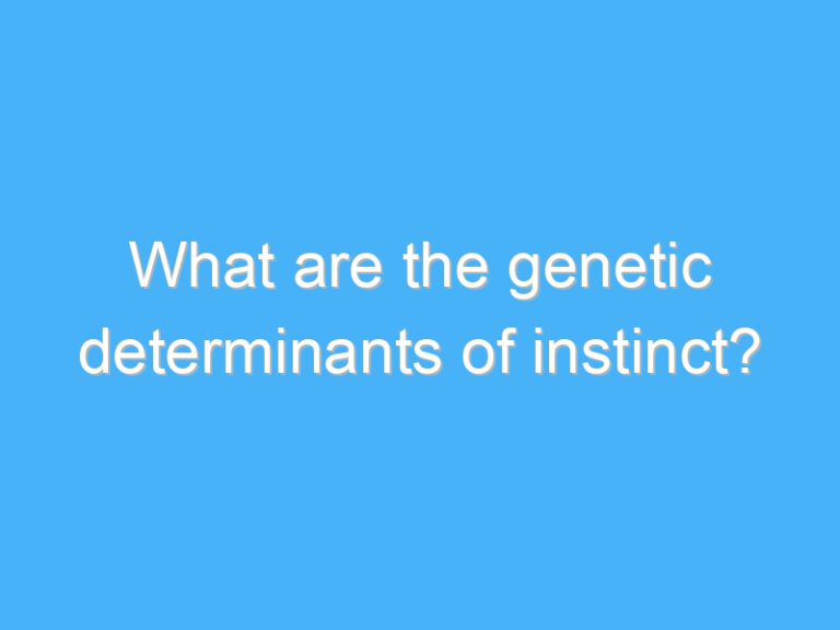 What are the genetic determinants of instinct?