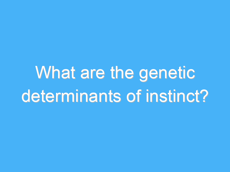 what are the genetic determinants of instinct 3296