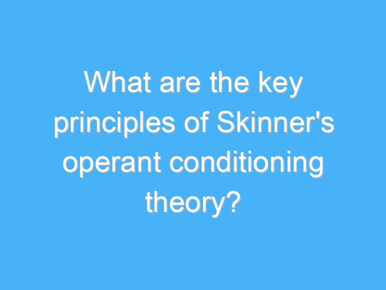 What are the key principles of Skinner’s operant conditioning theory?