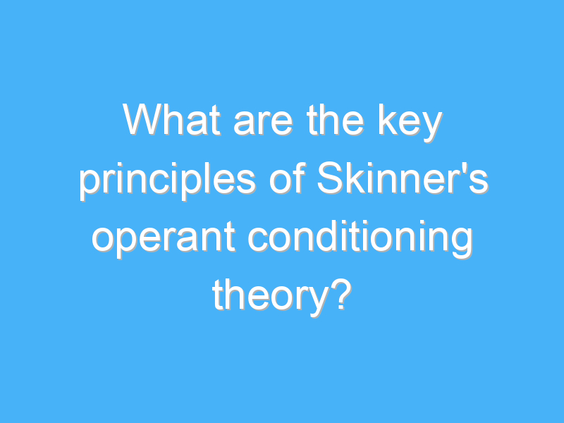 what are the key principles of skinners operant conditioning theory 1934 1