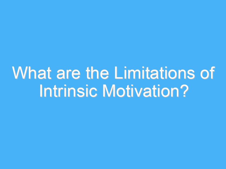What are the Limitations of Intrinsic Motivation?