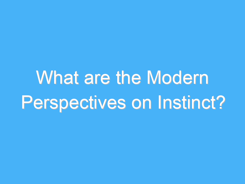 what are the modern perspectives on instinct 2051