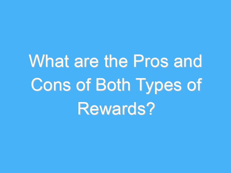 What are the Pros and Cons of Both Types of Rewards?