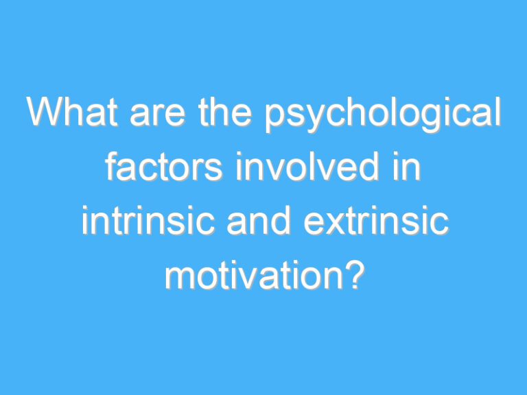 What are the psychological factors involved in intrinsic and extrinsic motivation?