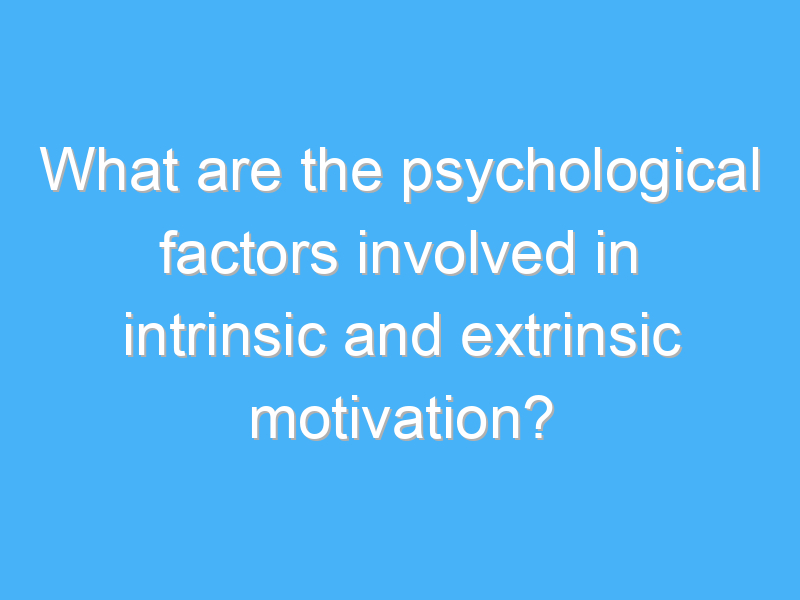 what are the psychological factors involved in intrinsic and extrinsic motivation 2521