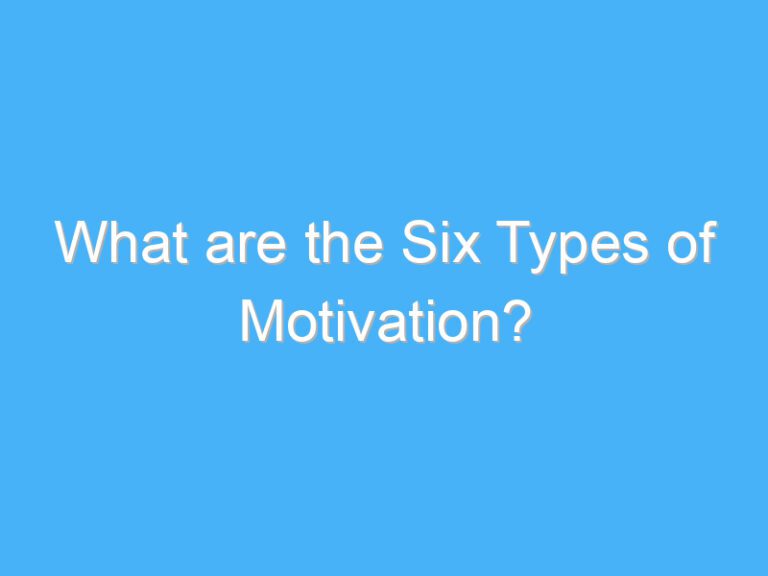What are the Six Types of Motivation?
