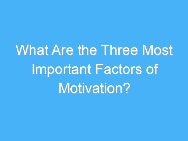 What Are the Three Most Important Factors of Motivation?