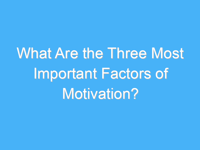 what are the three most important factors of motivation 371