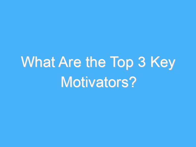 What Are the Top 3 Key Motivators?