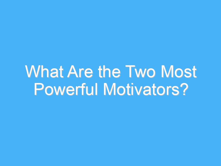 What Are the Two Most Powerful Motivators?