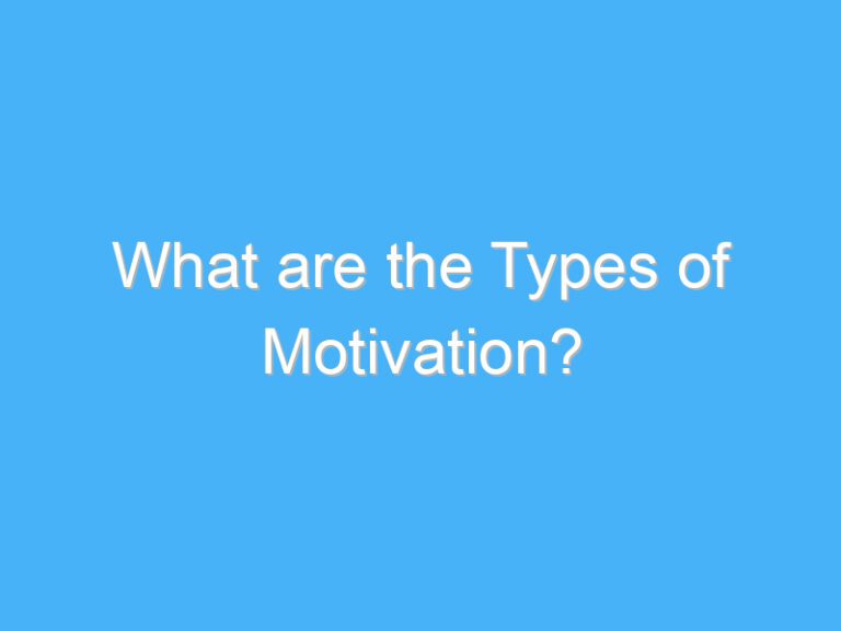 What are the Types of Motivation?
