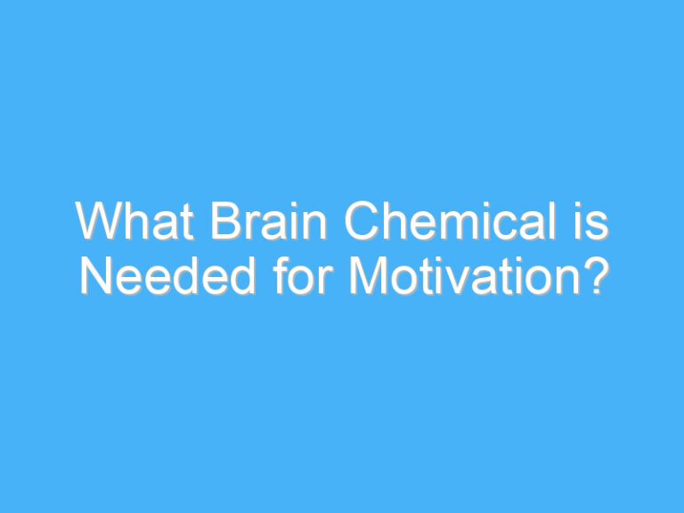 What Brain Chemical is Needed for Motivation?