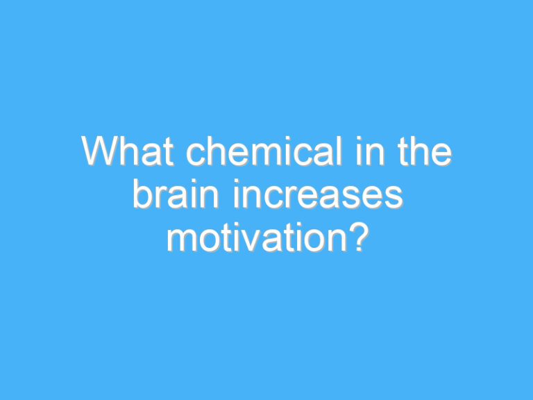 What chemical in the brain increases motivation?