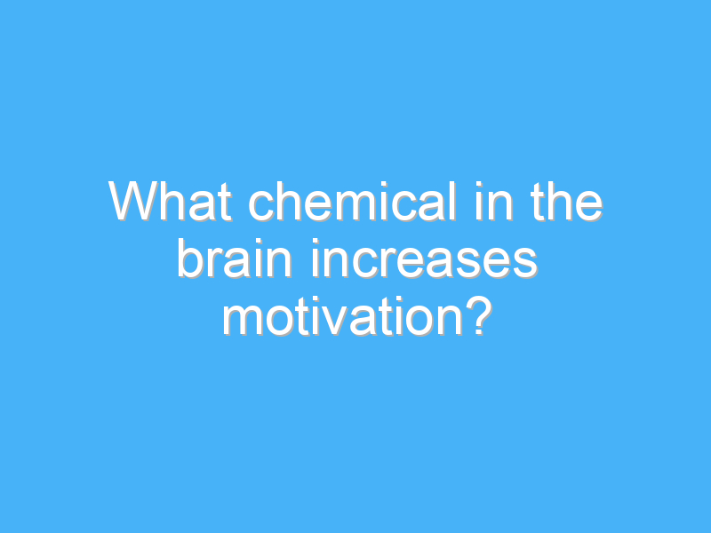 what chemical in the brain increases motivation 154