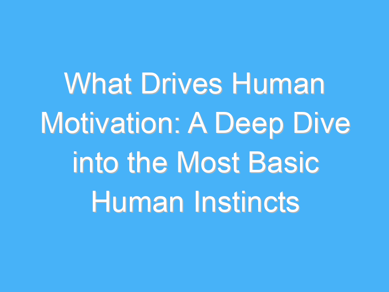 what drives human motivation a deep dive into the most basic human instincts 349
