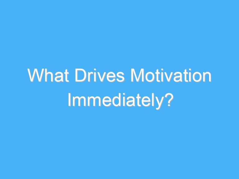What Drives Motivation Immediately?