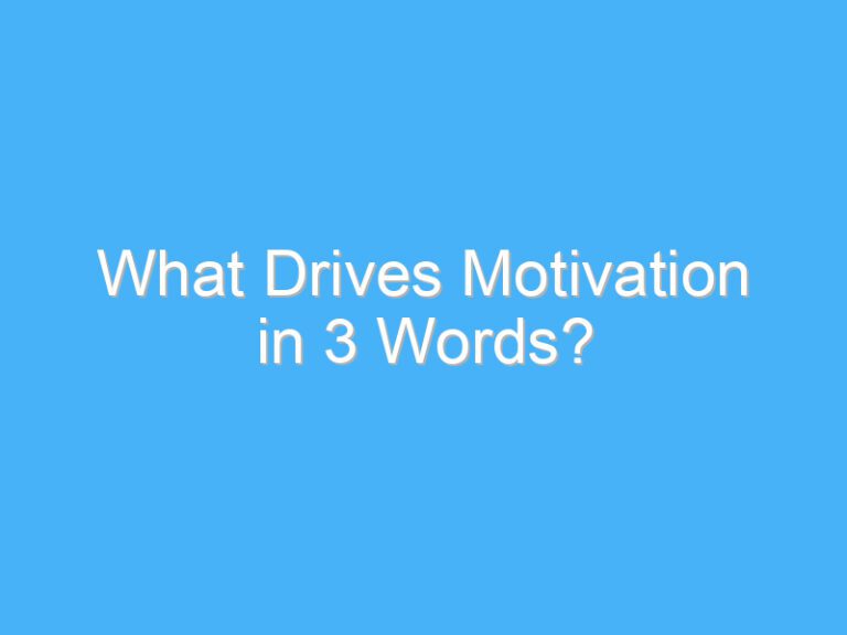 What Drives Motivation in 3 Words?