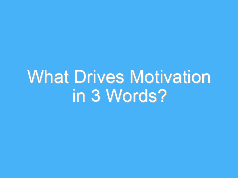 what drives motivation in 3 words 336
