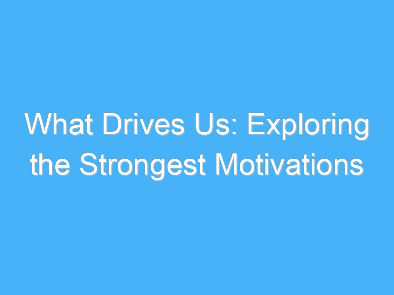 what drives us exploring the strongest motivations 315