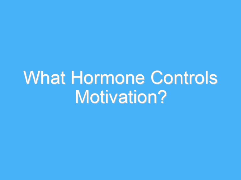 What Hormone Controls Motivation?