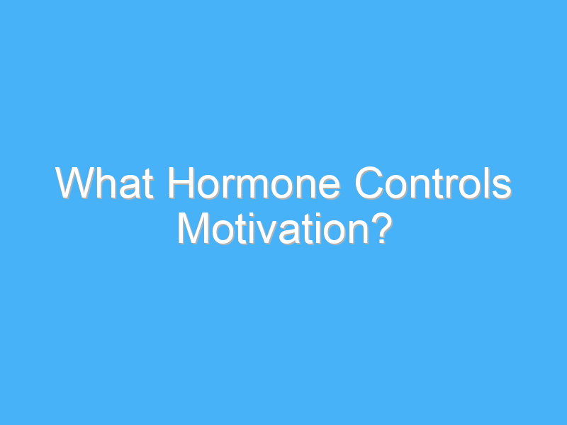 what hormone controls motivation 362