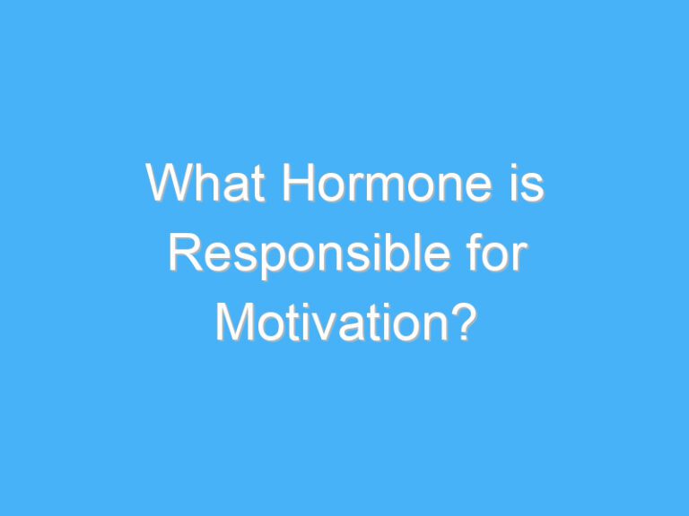 What Hormone is Responsible for Motivation?