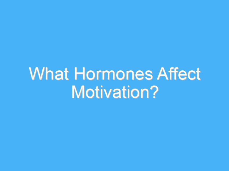 What Hormones Affect Motivation?