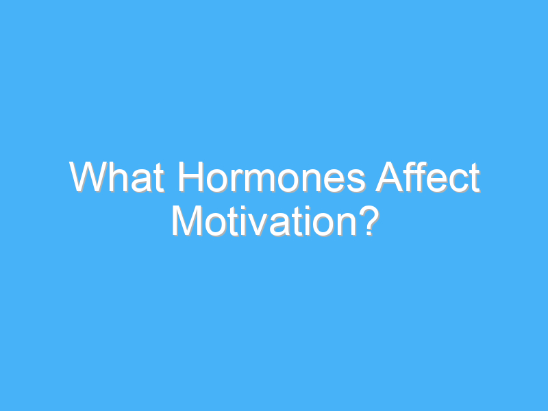 what hormones affect motivation 195