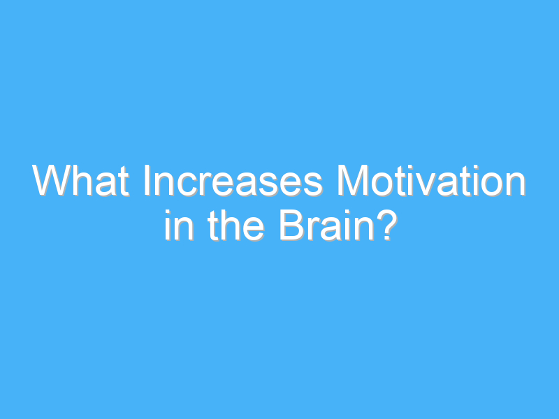 what increases motivation in the brain 401