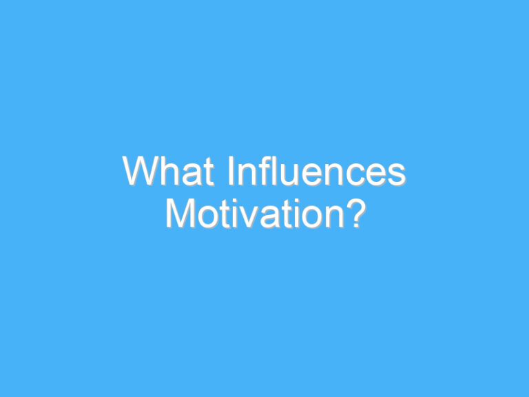 What Influences Motivation?