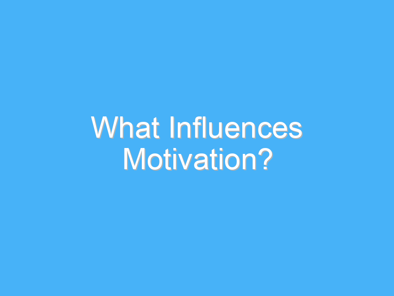 what influences motivation 134