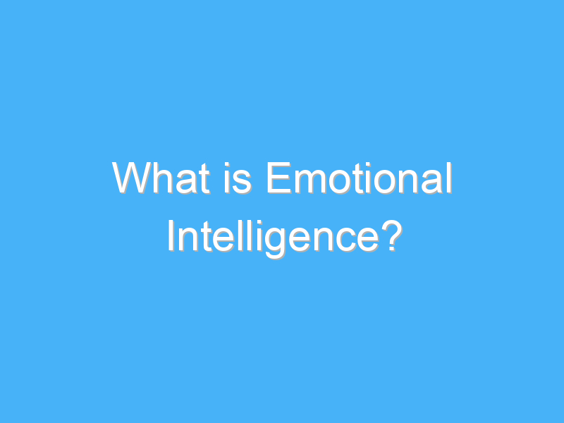 what is emotional intelligence 1854