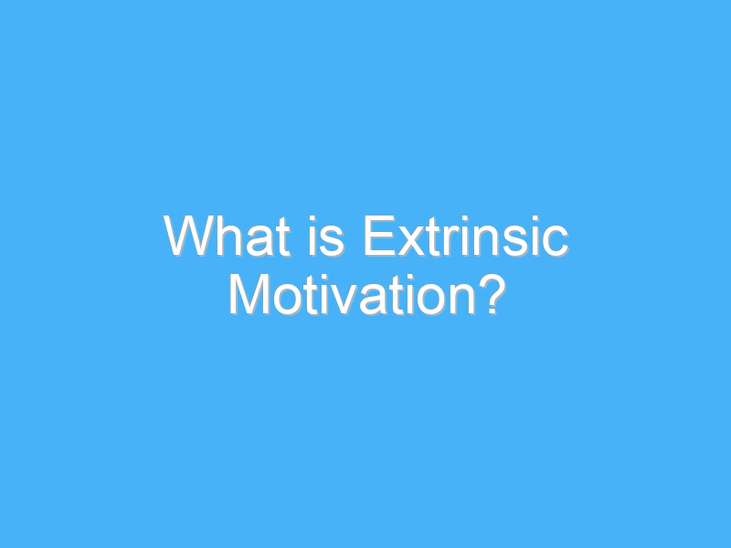 what is extrinsic motivation 3178 3