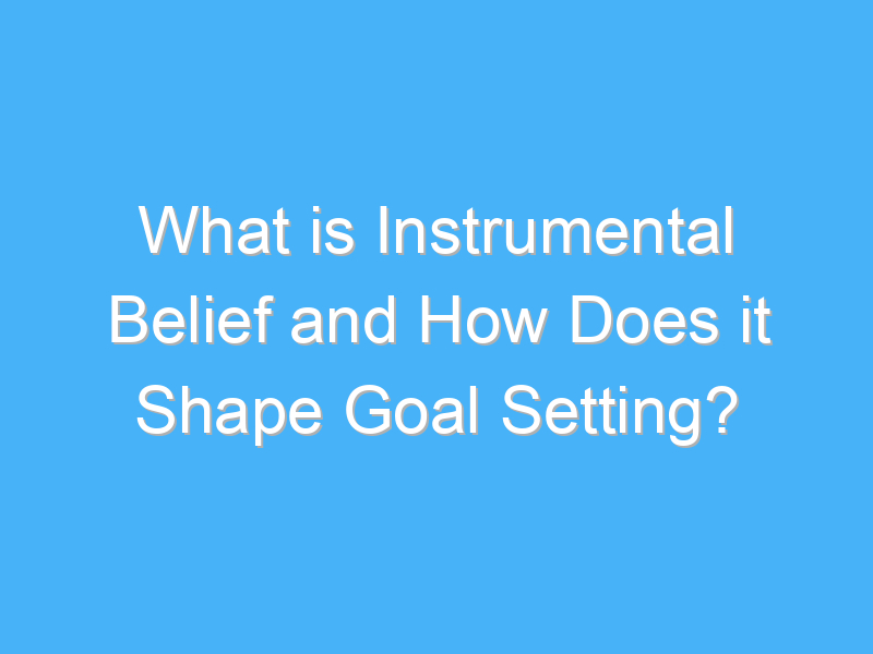 what is instrumental belief and how does it shape goal setting 2007