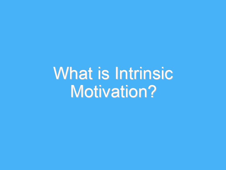 What is Intrinsic Motivation?